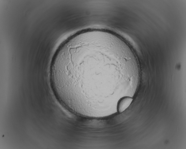 X0000094321327200711241758