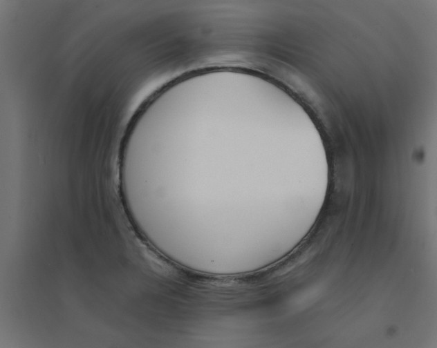 X0000094321328200711241758