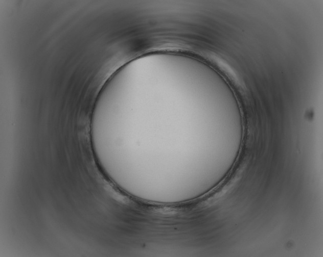 X0000094321329200711241759