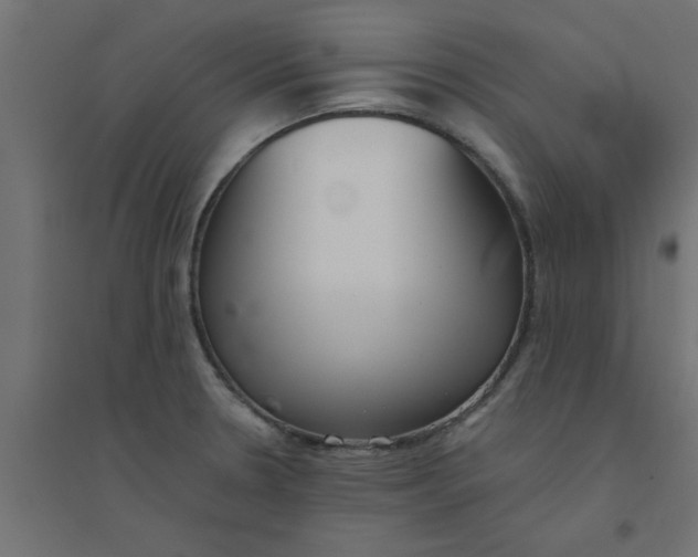 X0000094321330200711241759