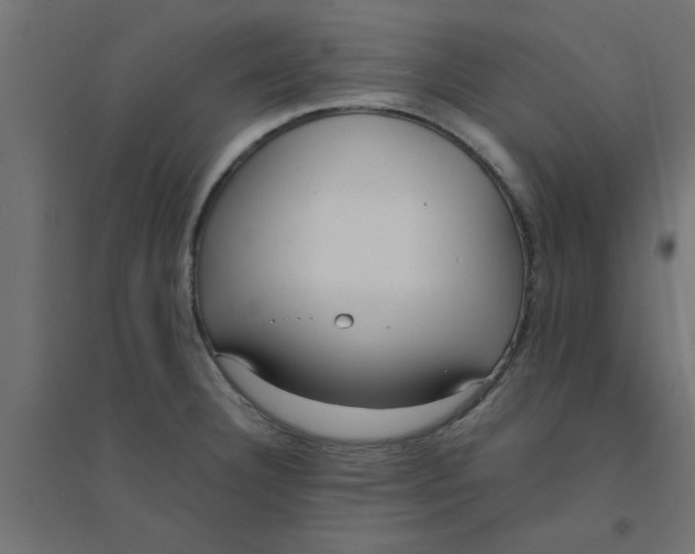X0000094321332200711241759