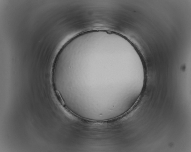 X0000094321333200711241759