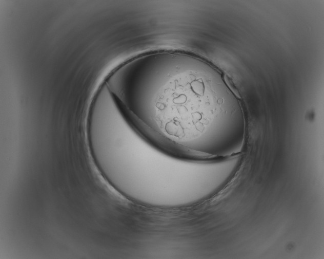 X0000094321334200711241759