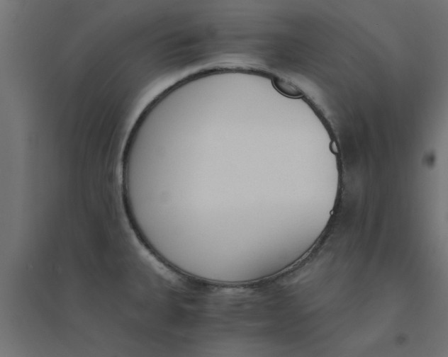 X0000094321335200711241759