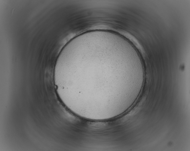 X0000094321337200711241759