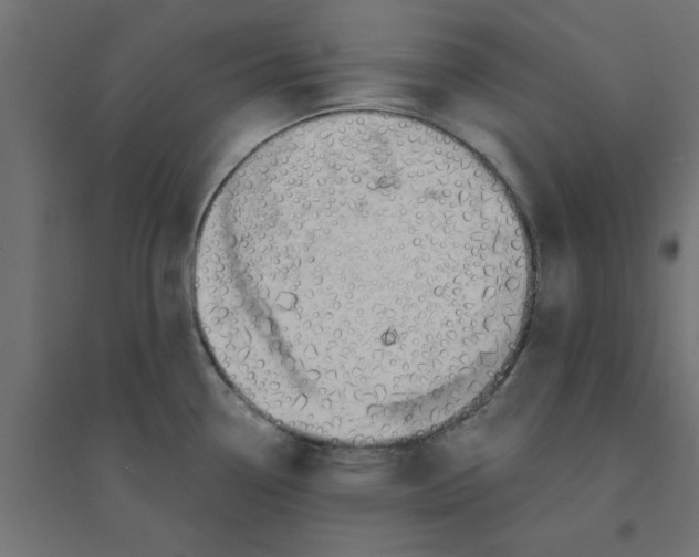 X0000094321338200711241759