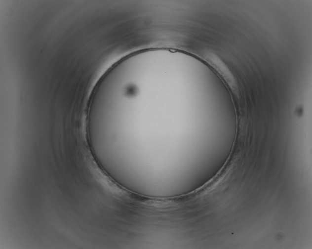 X0000094321340200711241759