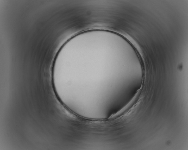 X0000094321341200711241759