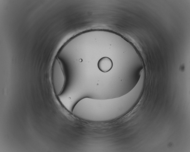 X0000094321342200711241759