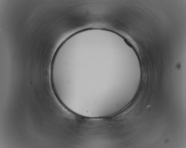 X0000094321343200711241759
