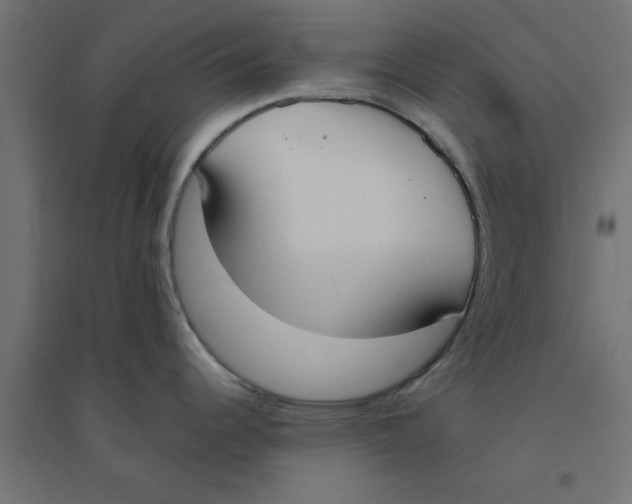 X0000094321344200711241759