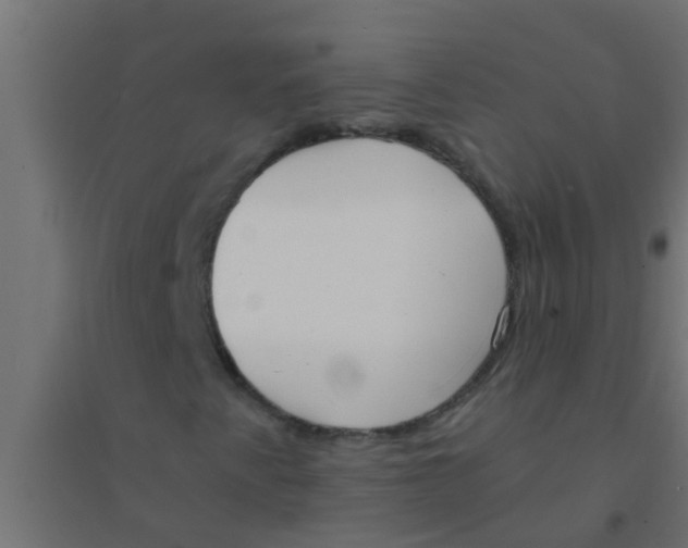 X0000094321345200711241758