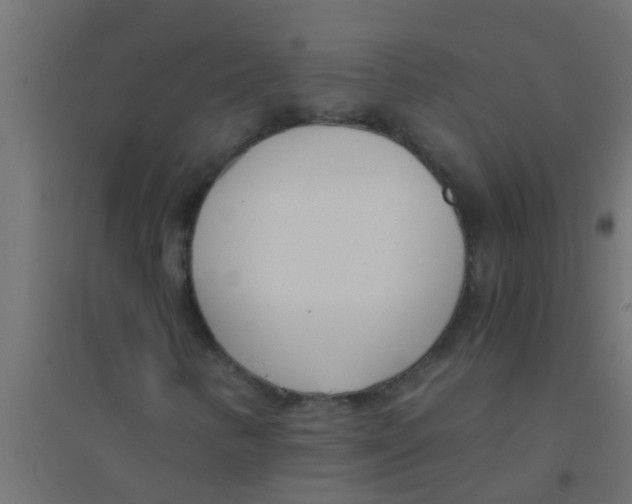 X0000094321346200711241758