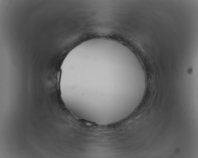 X0000094321349200711241758