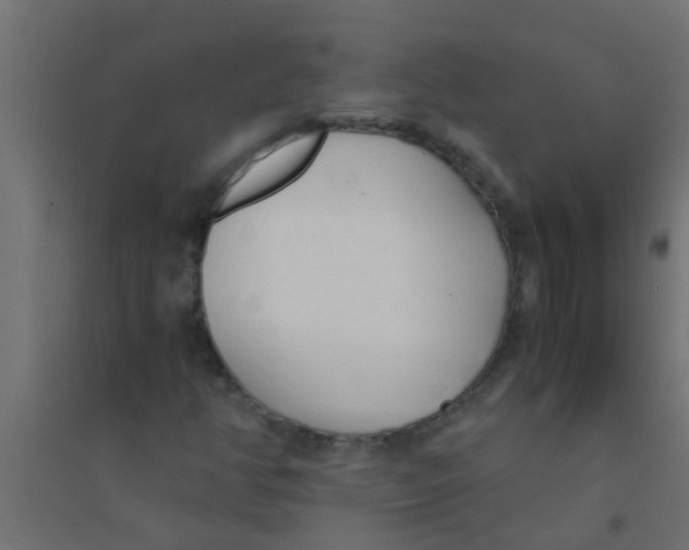 X0000094321350200711241758