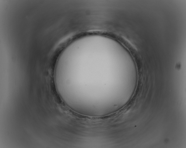 X0000094321351200711241758