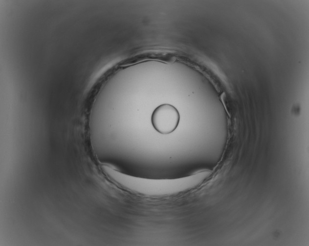 X0000094321352200711241758