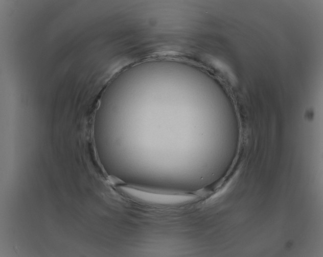 X0000094321353200711241758