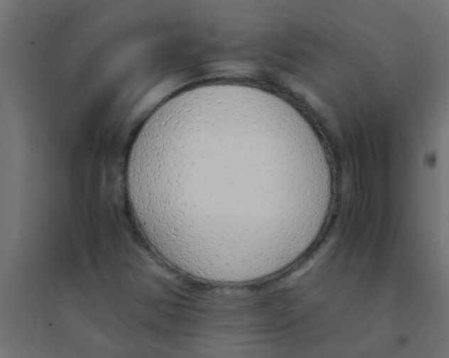 X0000094321354200711241758