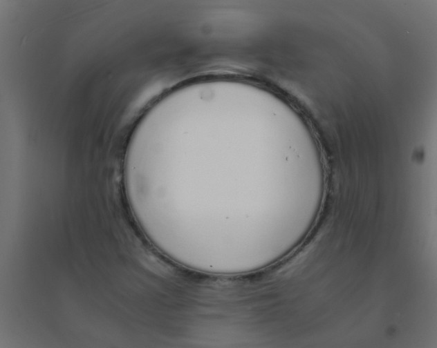 X0000094321355200711241758