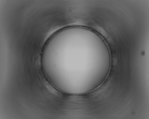 X0000094321356200711241758