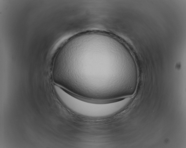 X0000094321359200711241758