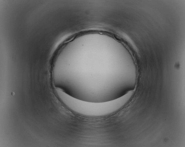 X0000094321360200711241758