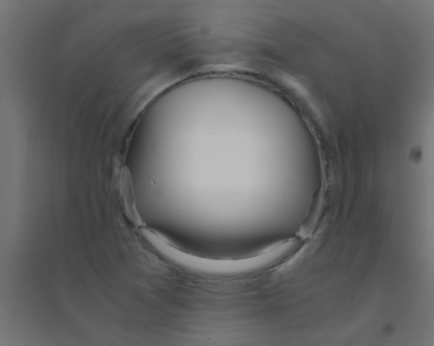 X0000094321361200711241758