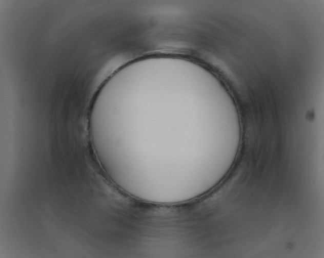X0000094321362200711241758
