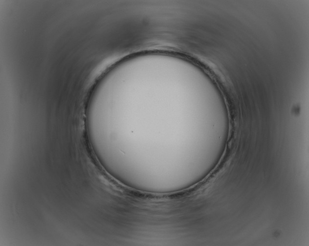 X0000094321363200711241758