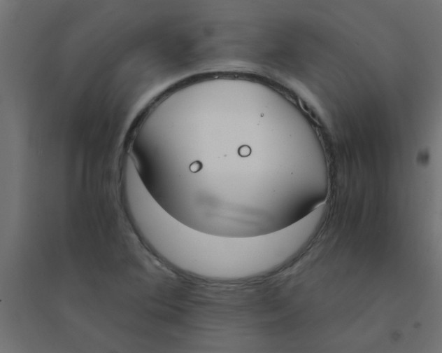 X0000094321364200711241758
