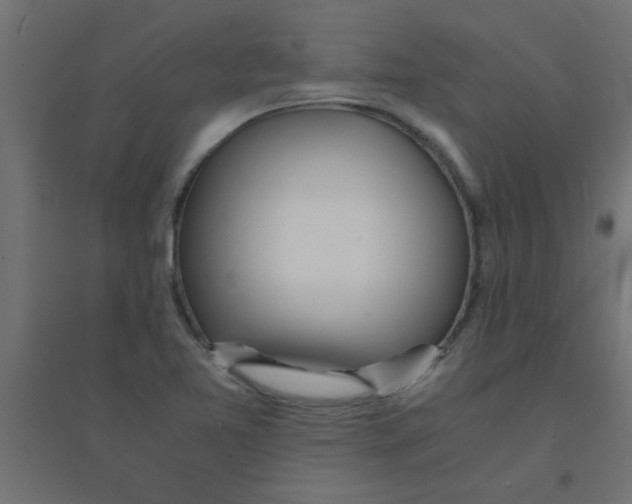 X0000094321365200711241758