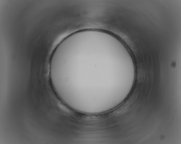 X0000094321366200711241758