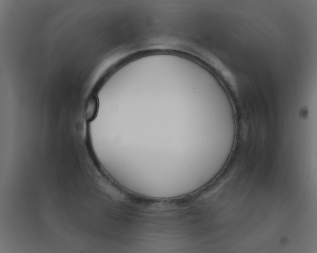 X0000094321368200711241758
