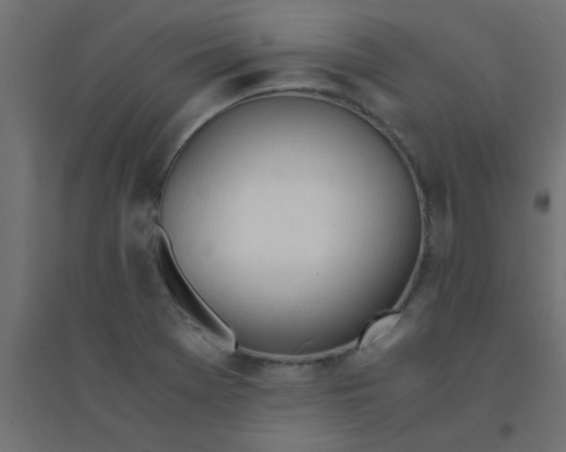 X0000094321369200711241758
