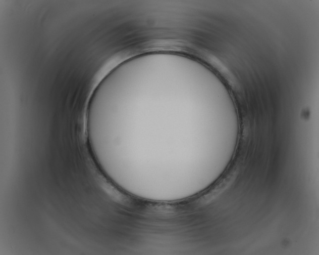 X0000094321370200711241758