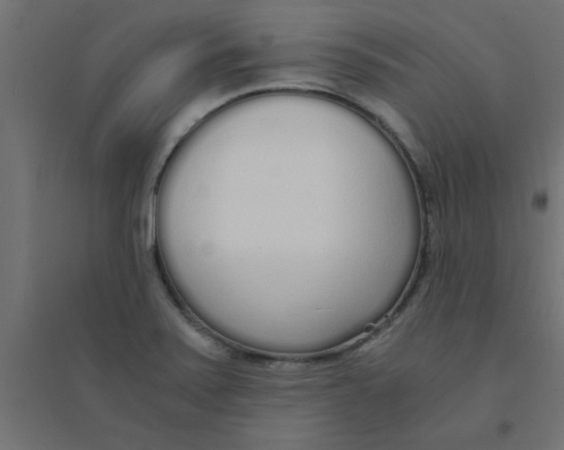 X0000094321371200711241758