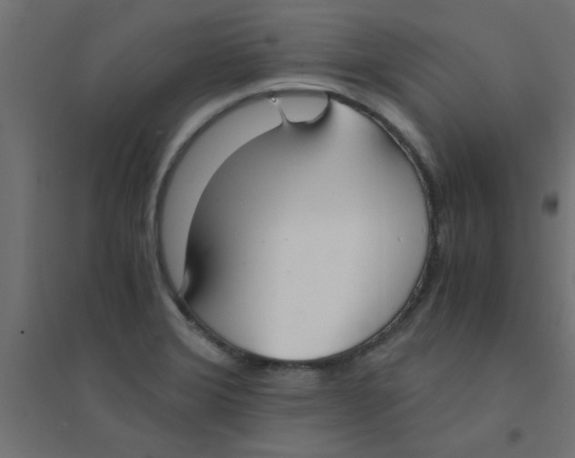 X0000094321372200711241758