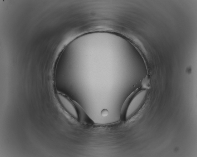 X0000094321373200711241758