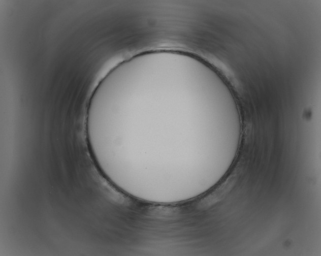 X0000094321374200711241758