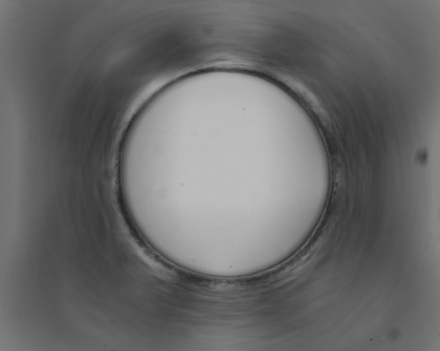X0000094321375200711241758