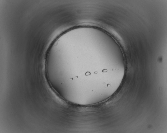 X0000094321376200711241758