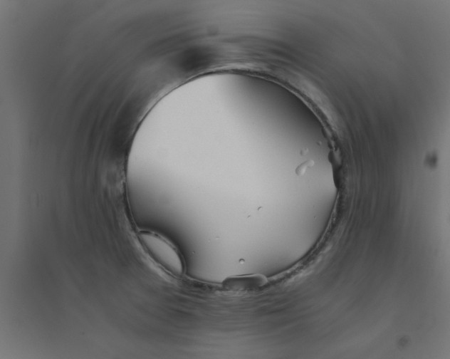 X0000094321377200711241758