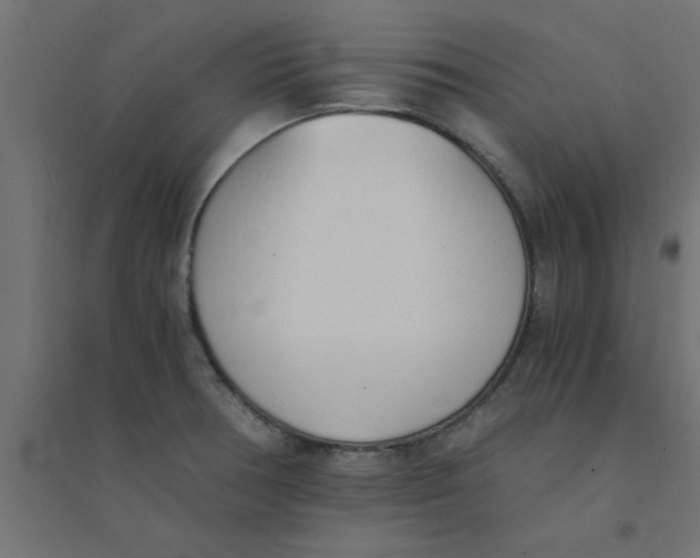 X0000094321378200711241758