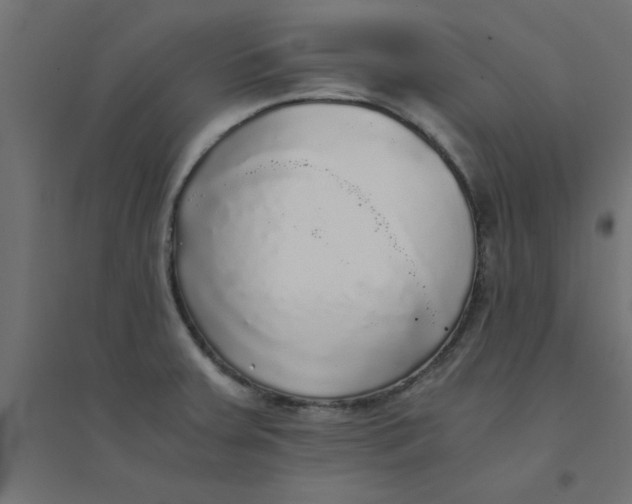 X0000094321379200711241758
