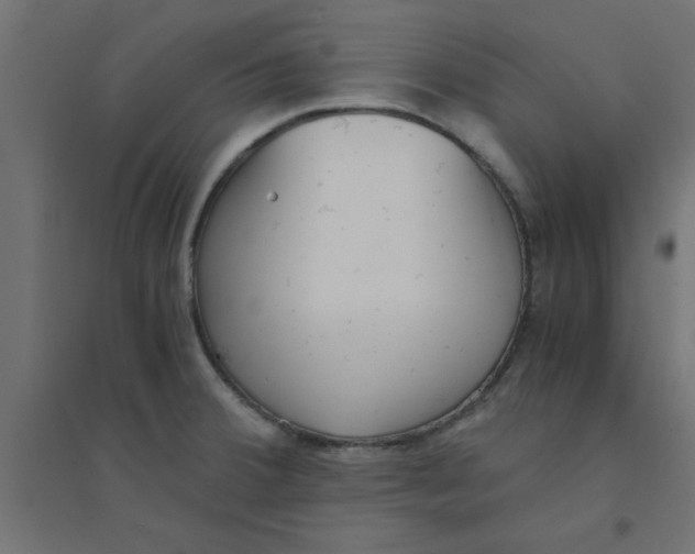 X0000094321380200711241758