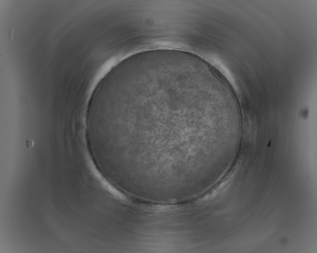 X0000094321381200711241758