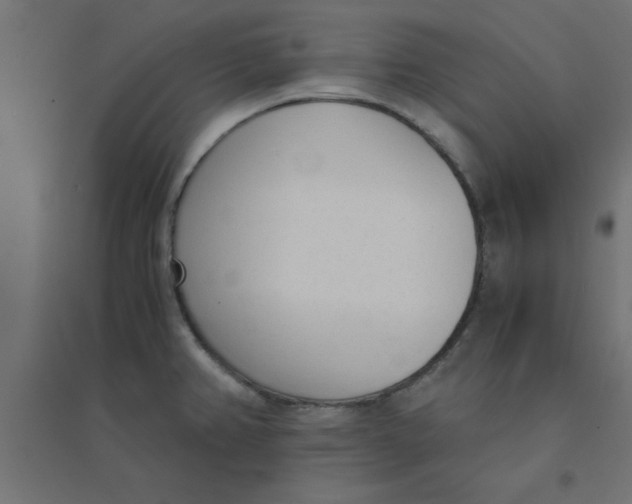 X0000094321382200711241758