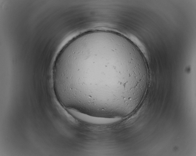 X0000094321384200711241758