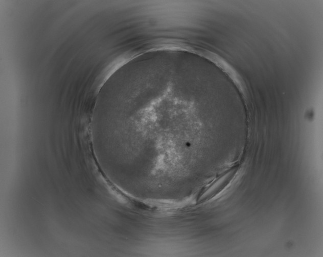 X0000094321385200711241758
